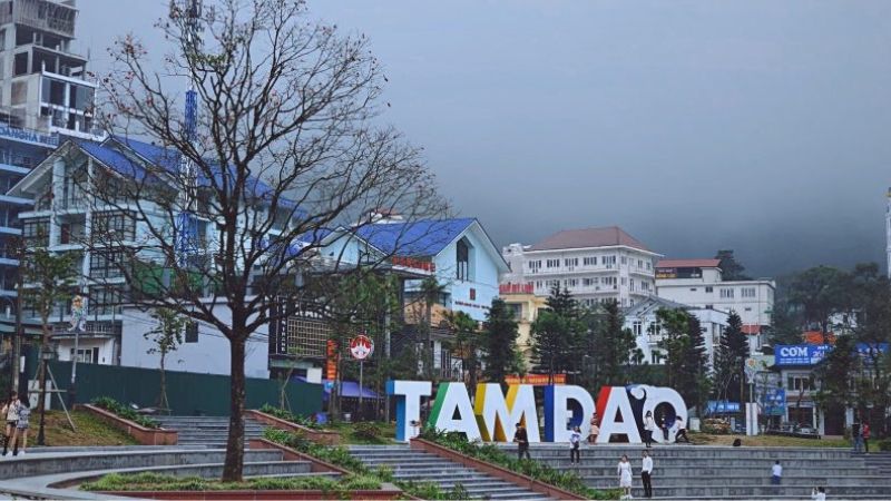 tam-dao